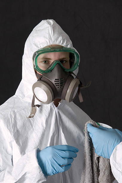 Valparaiso, IN Mold Removal Company